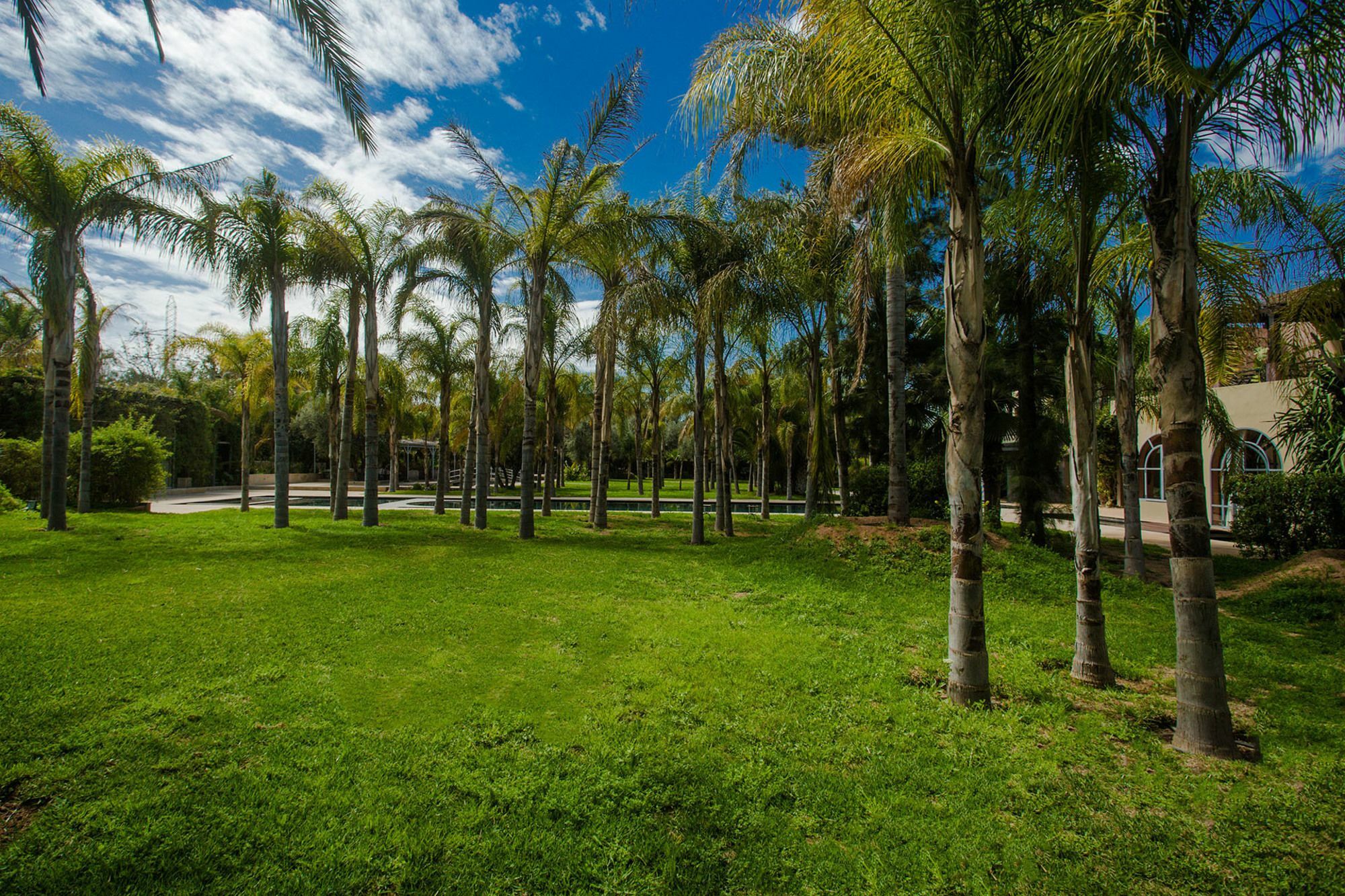 Palais Mirage D'Atlas, Hotel De Luxe & Spa Ouled Jelal エクステリア 写真