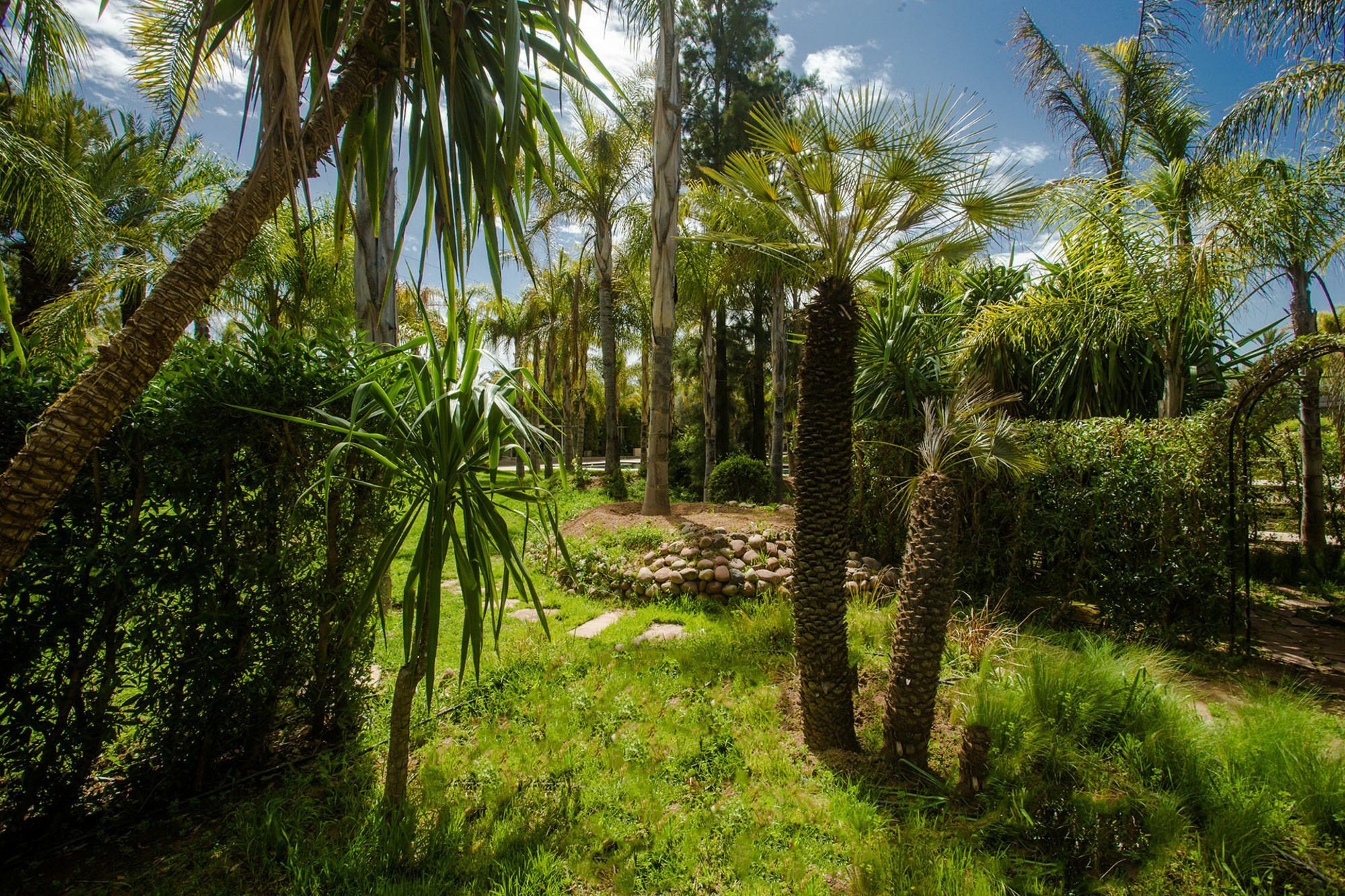 Palais Mirage D'Atlas, Hotel De Luxe & Spa Ouled Jelal エクステリア 写真